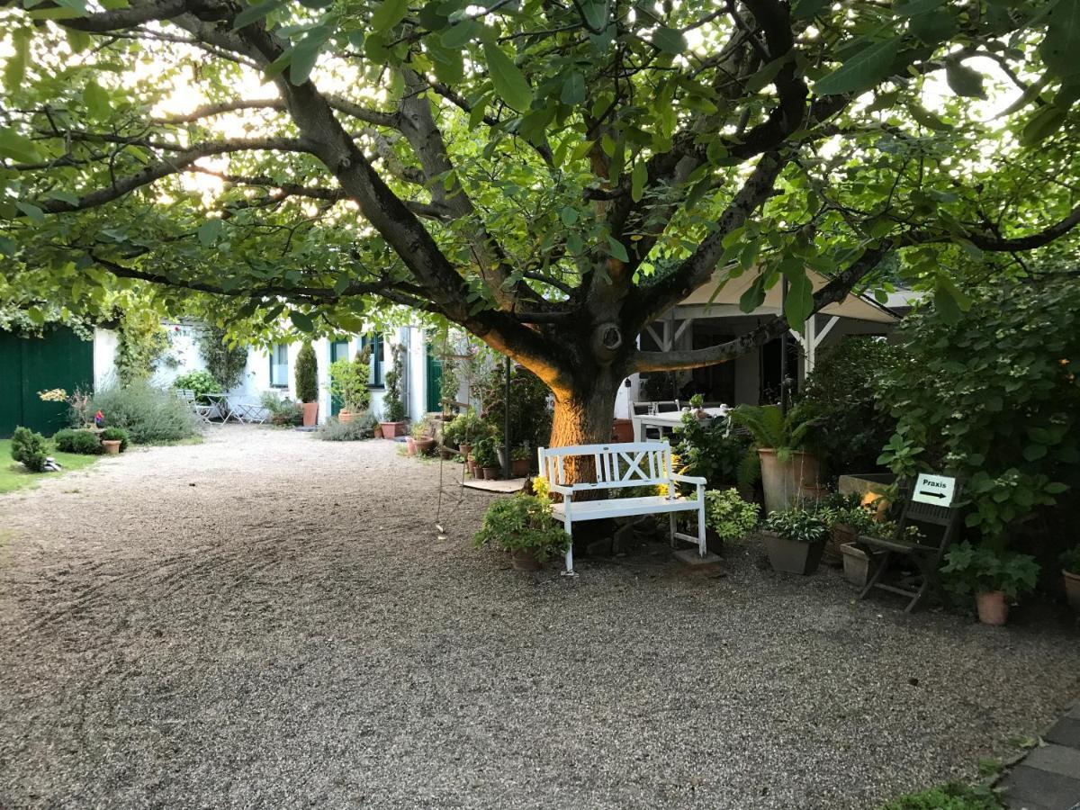 Ferien- Und Messewohnung In Медебах Екстер'єр фото